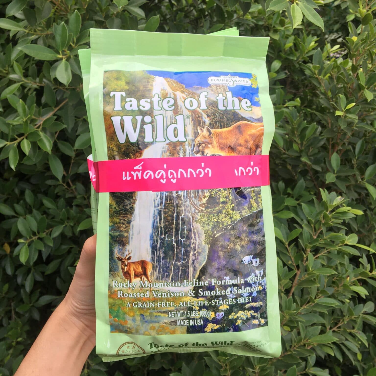 Taste of the Wild Rocky Mountain Cat Food รอกก เมาทเทน สตรเนอ