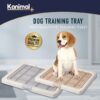 Kanimal Dog Training Size L Beige Color