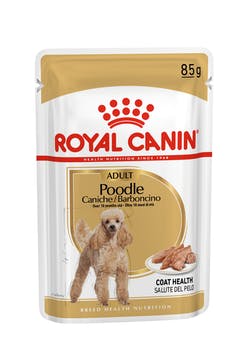 Royal Canin Poodle Adult in Pouch Dog Food 85g