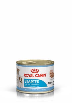 Royal Canin Starter Mother and Babydog Mousse Dog Food 195g