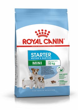 Royal canin mini starter Mother Babydog 3kg