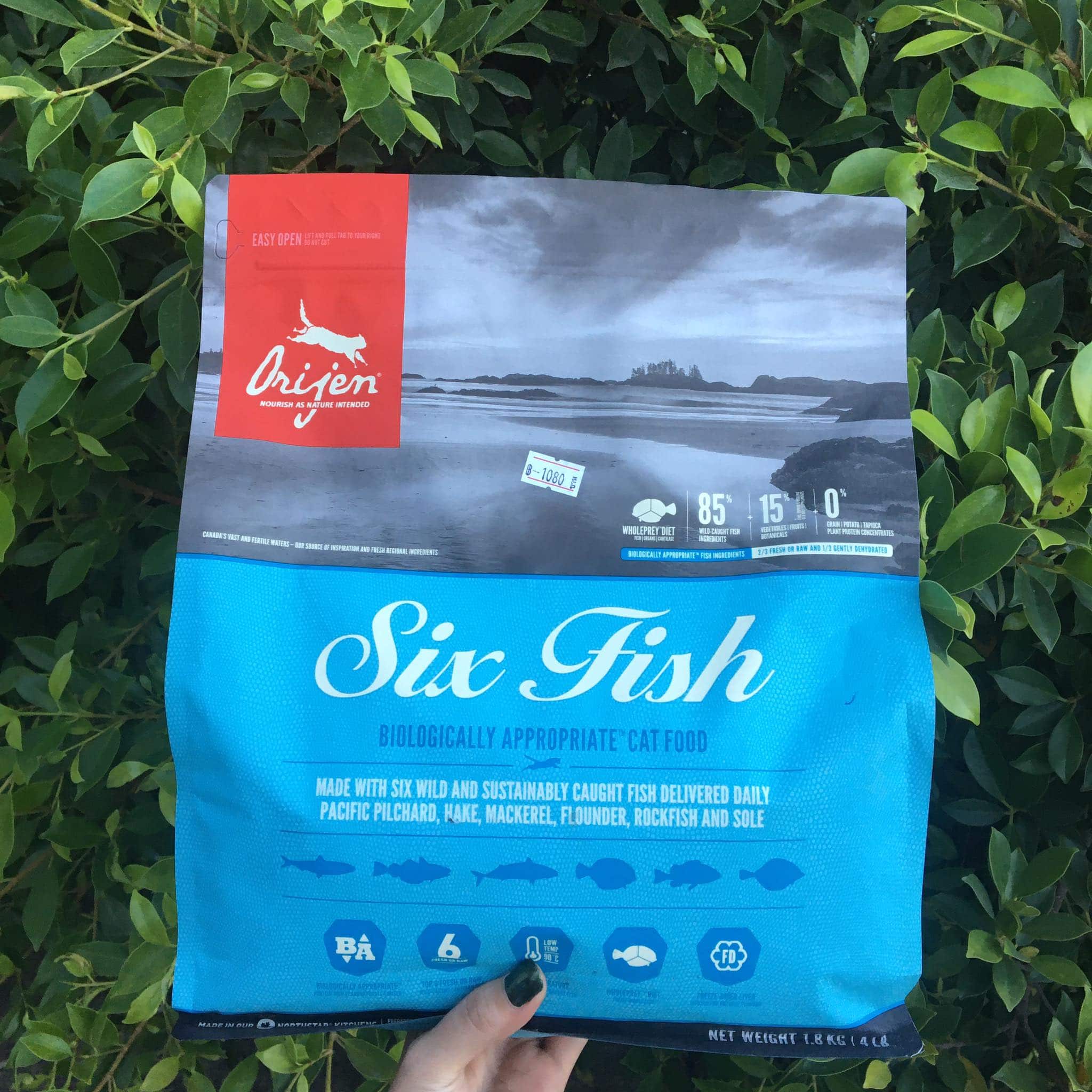 Orijen Six Fish Cat Food โอริเจน อาหารแมวสูตรปลา 6 ชนิด 1.8kg. – iPet Shop
