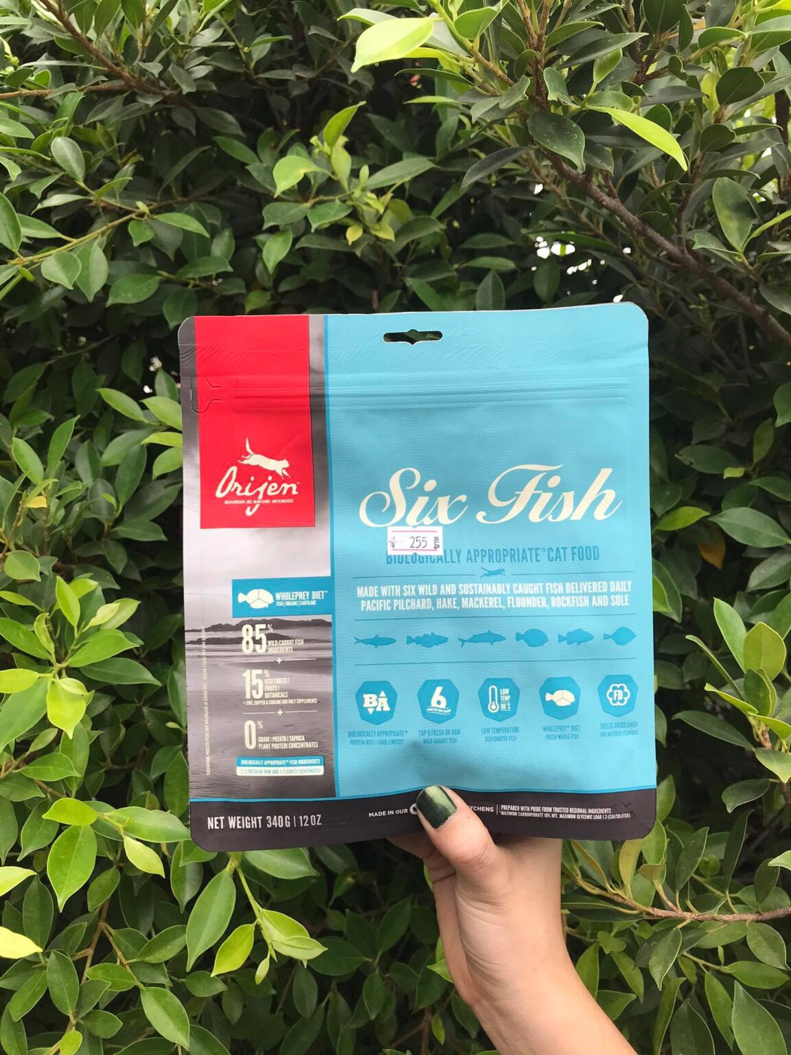 Orijen Six Fish Cat Food โอริเจน อาหารแมวสูตรปลา 6 ชนิด 340g. – iPet Shop