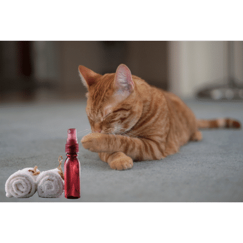 น้ำหอมสำหรับสัตว์เลี้ยง