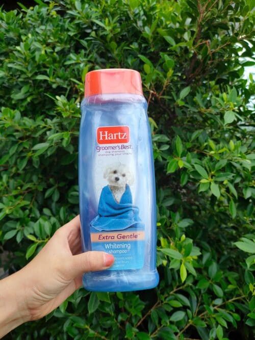 Hartz Whitening Shampoo Cherry Blossom Scent for dog