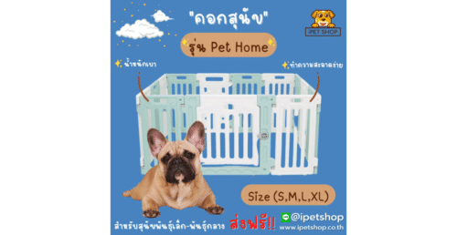 Pet Home for Small-Medium dog