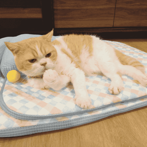 Passie Pet Cooling bed M