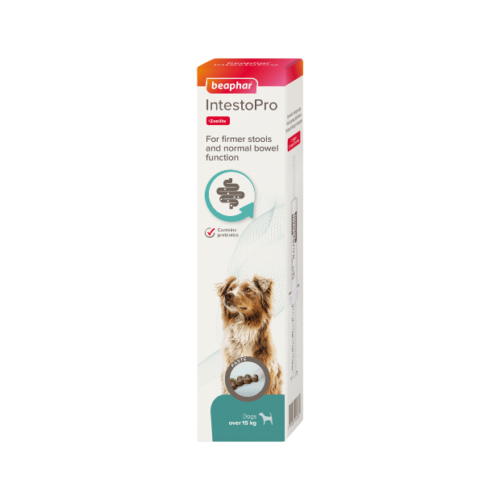 Beaphar IntestoPro Paste Medium Dog