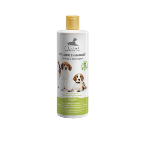 Quint Colour Enhancer Shampoo 515ml