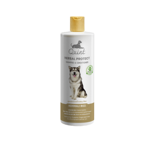 Quint Herbal Protect Shampoo 515ml