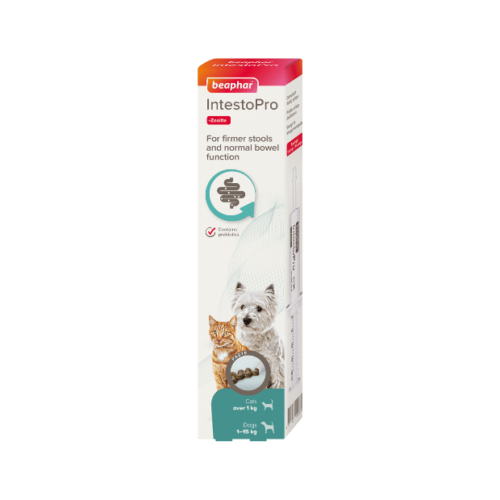 Beaphar IntestoPro Paste Cat & Small Dog 20ml