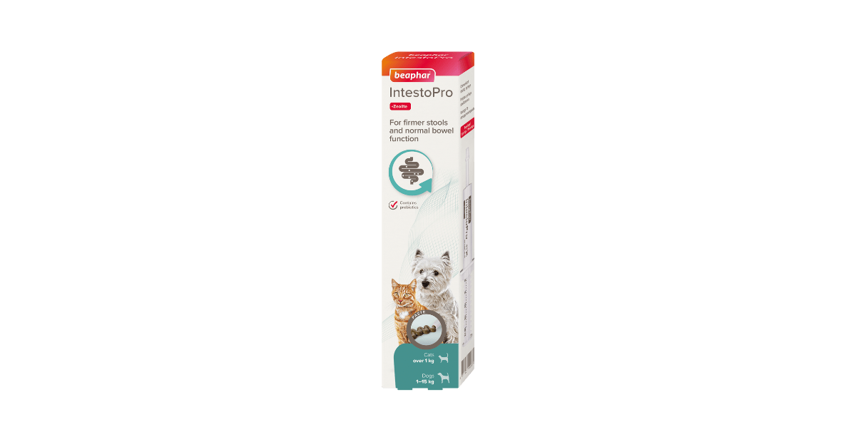 Beaphar IntestoPro Paste Cat & Small Dog Beaphar IntestoPro Paste Cat & Small Dog 20ml