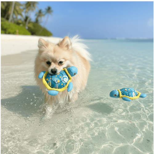 A Pomeranian Retriever is playing with Dr.Choice Dog Toy