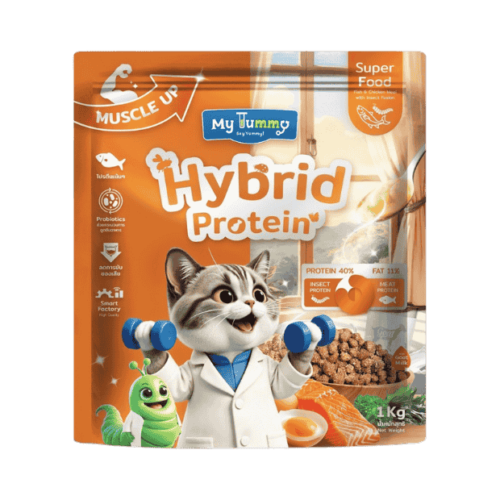 My Tummy Hybrid Protein Muscle Up 1kg